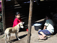 children_living_in_extreme_poverty1