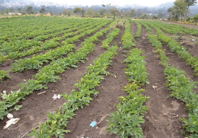 2015Guatemala10
