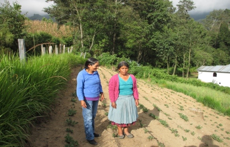 2015Guatemala14