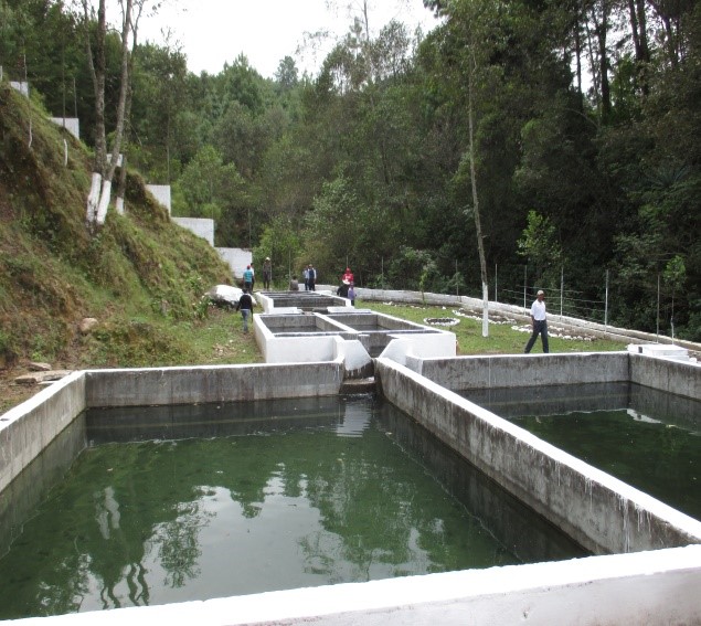 2015Guatemala15